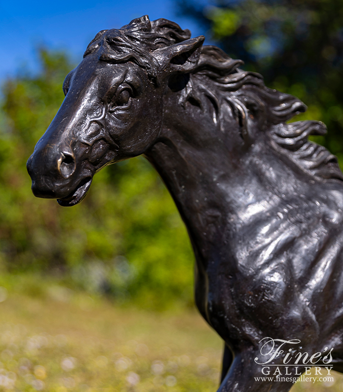 Bronze Statues  - Wild Horse Bronze Statue - BS-887